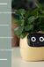 Facial Expression Control Intelligent Flower Pot