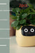 Facial Expression Control Intelligent Flower Pot