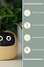 Facial Expression Control Intelligent Flower Pot