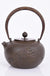 Cast Iron Embroidered Teapot Boiling Water