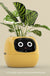 Facial Expression Control Intelligent Flower Pot