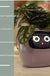 Facial Expression Control Intelligent Flower Pot