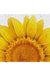 Feblilac Semicircular Rectangular Blossom Sunflower PVC Coil Door Mat