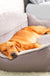 Dog bed sofa bed