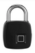 Fingerprint padlock smart lock anti-theft door lock outdoor door padlock luggage lock fingerprint padlock