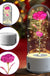 Creative 2 In 1 Rose Flowers LED Light And Bluetooth Speaker Valentine's Day Gift Rose Luminous Night Light Ornament In Glass Cover