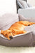 Dog bed sofa bed