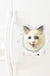 3D Cute Cat Wall Art Sticker Bathroom Toilet Lid Cover Decal Home Office Decor