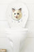 3D Cute Cat Wall Art Sticker Bathroom Toilet Lid Cover Decal Home Office Decor