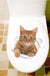 3D Cute Cat Wall Art Sticker Bathroom Toilet Lid Cover Decal Home Office Decor