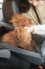 Car Safety Cat Dog Bed Travel Central Control Pet Seat Transport Dog Carrier