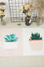 Green and Pink Nursery Rug Kids Botanical Leaf Potted Plants Pattern Area Rug Polyester Pet Friendly Carpet