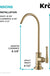 Allyn 100% Lead-Free Kitchen Water Filter Faucet in Brushed Gold, FF-102BG