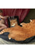 Novelty Cat Pattern Rug Red and Black Polyester Washable Pet Friendly Area Rug for Decoration