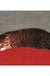 Novelty Cat Pattern Rug Red and Black Polyester Washable Pet Friendly Area Rug for Decoration