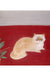 Novelty Cat Pattern Rug Red and Black Polyester Washable Pet Friendly Area Rug for Decoration