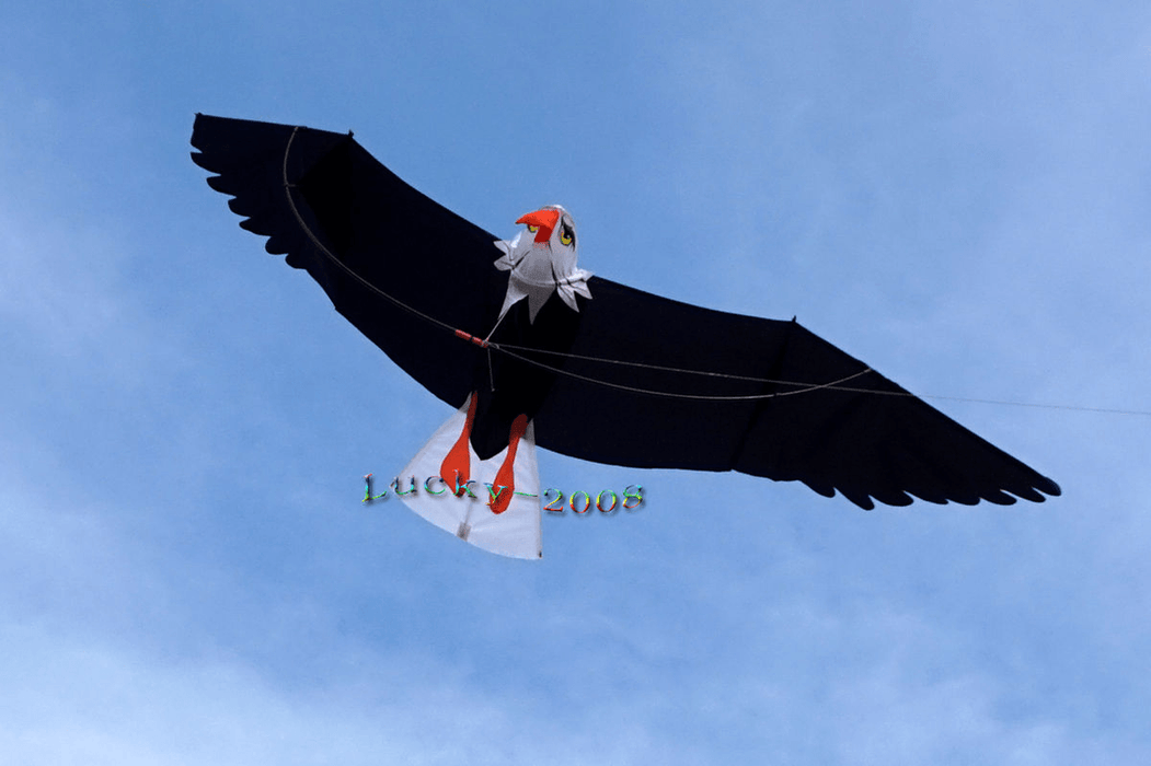 High Quality 3D Eagle Kite Single Line Stunt Kite Outdoor Sports Toys for Kids