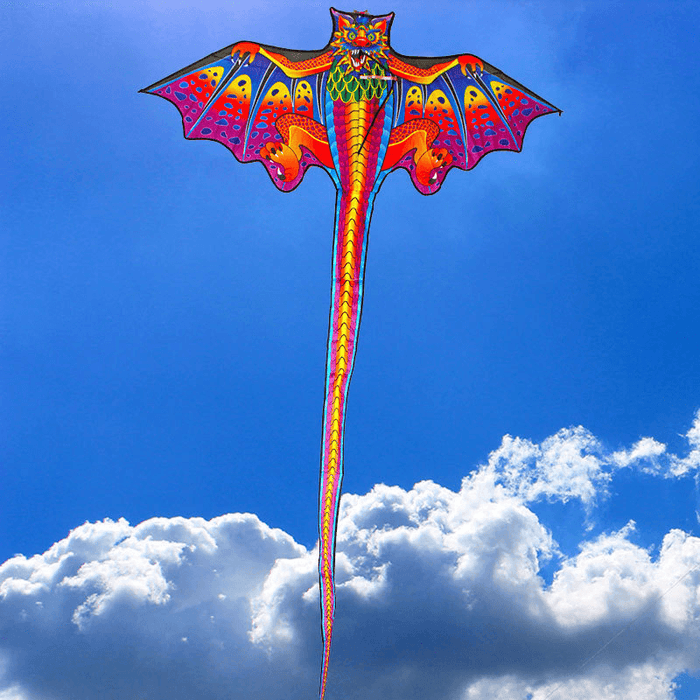 160*260Cm 3D Large Dragon Kite Kids Adult Sports Beach Fly Toys Nylon Kite Gift Outdoor Hiking with 100M Kite Line