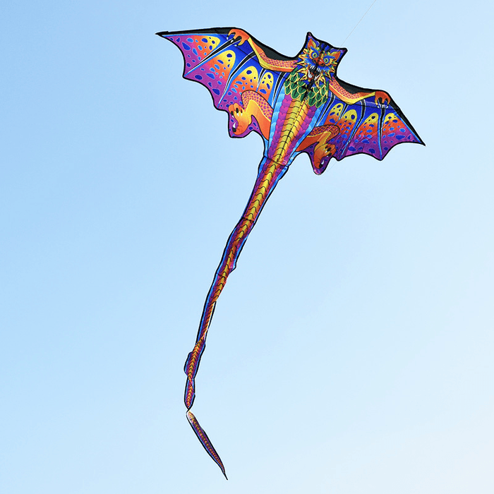 160*260Cm 3D Large Dragon Kite Kids Adult Sports Beach Fly Toys Nylon Kite Gift Outdoor Hiking with 100M Kite Line