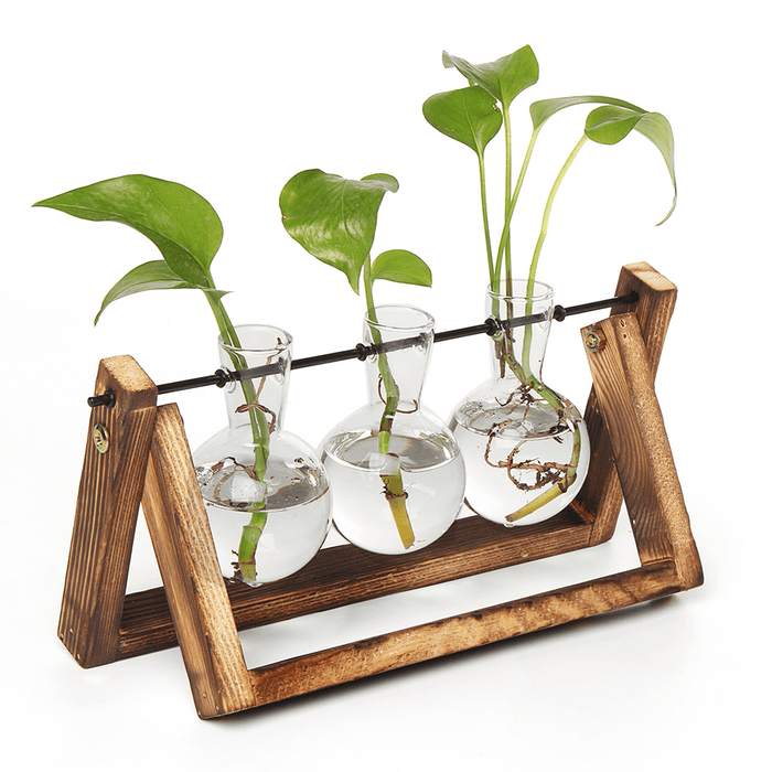 Mini Hanging Glass Tabletop Hydroponic Flower Pot Vase with Wooden Tray