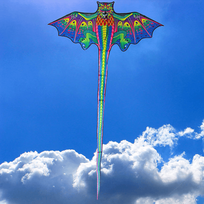 160*260Cm 3D Large Dragon Kite Kids Adult Sports Beach Fly Toys Nylon Kite Gift Outdoor Hiking with 100M Kite Line