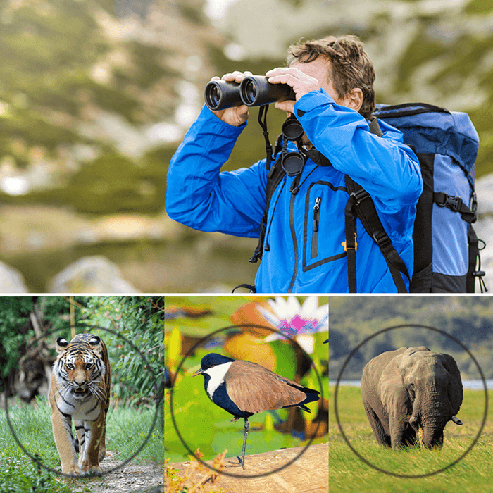 LUXUN 80X80 HD High Power Binoculars Low Light Night Vision Telescope Powerful Binoculars for Hunting Outdoor Tourism