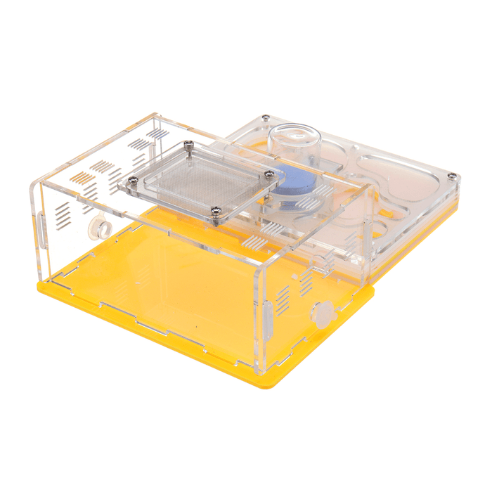 20.2*15*6.5Cm Acrylic Sheet Ant Farm Feeding Insects Science Educations