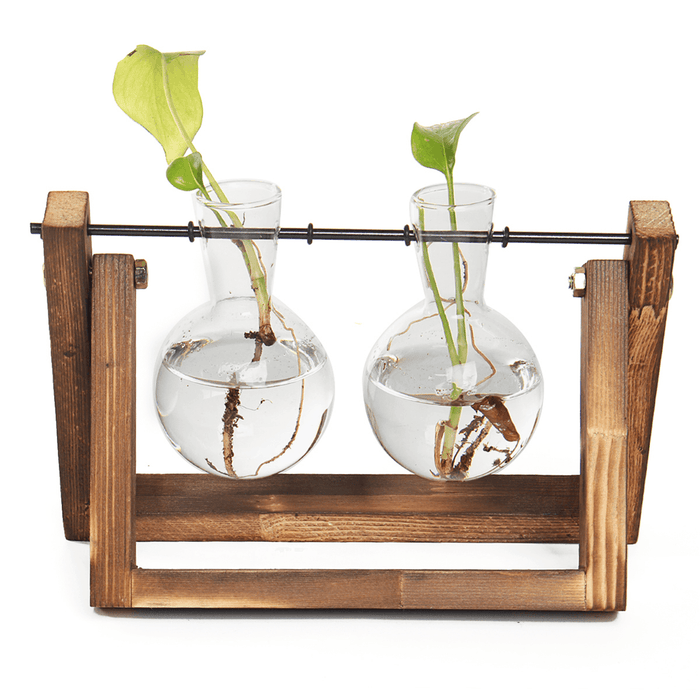 Mini Hanging Glass Tabletop Hydroponic Flower Pot Vase with Wooden Tray