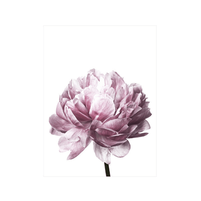 20X30/30X40Cm Flower Modern Wall Art Canvas Paintings Picture Home Decor Mural Poster with Frame