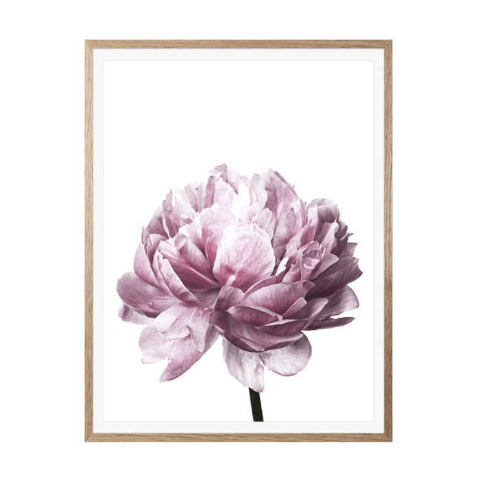 20X30/30X40Cm Flower Modern Wall Art Canvas Paintings Picture Home Decor Mural Poster with Frame