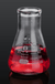 50Ml Lab Glass Erlenmeyer Conical Flask Bottle W/ Rim Borosilicate Laboratory Glassware