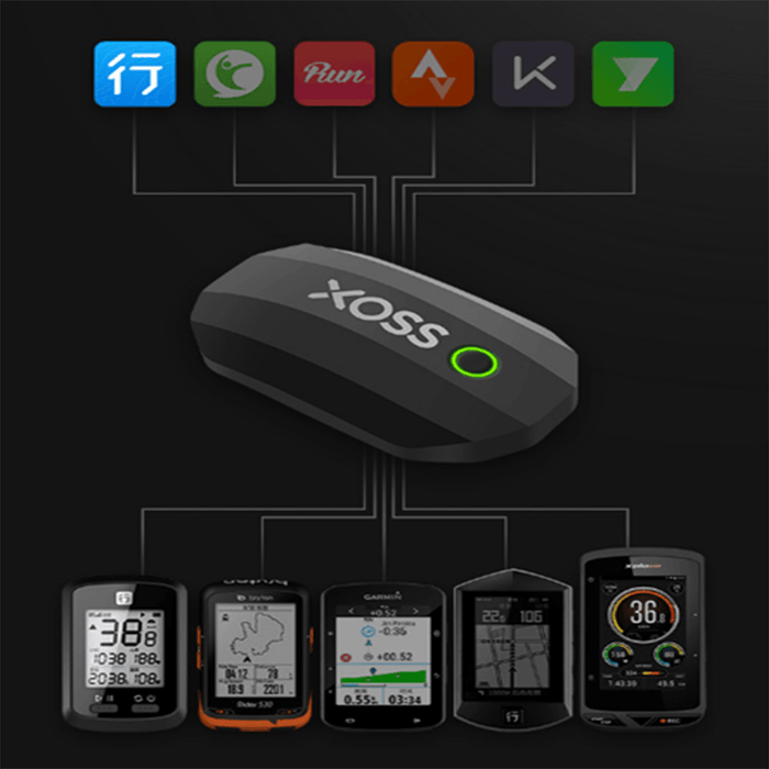 XOSS Bluetooth ANT+ Sports Heart Rate IP67 Wateproof One Battery Dual Protocol Support