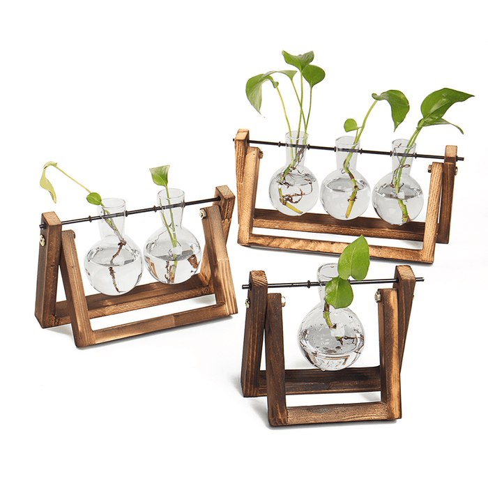 Mini Hanging Glass Tabletop Hydroponic Flower Pot Vase with Wooden Tray