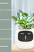 Facial Expression Control Intelligent Flower Pot