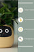 Facial Expression Control Intelligent Flower Pot