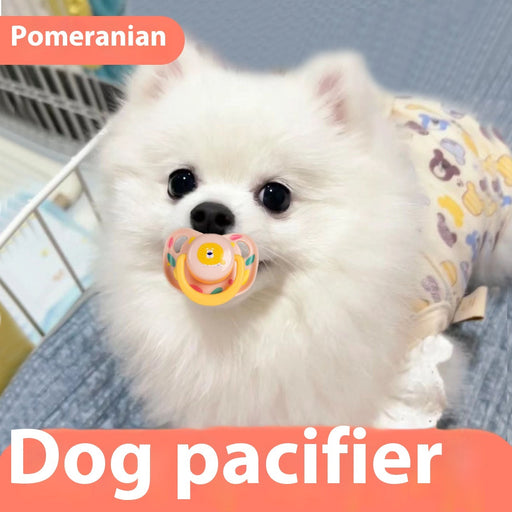 Dog Pacifier Puppy Molar Bite Toy