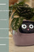 Facial Expression Control Intelligent Flower Pot