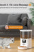 Cat Smart Dog Automatic Pet Feeder