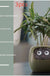 Facial Expression Control Intelligent Flower Pot