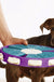 Dog educational toys