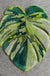 Feblilac Irregular Monstera Leaves Tufted Bath Mat