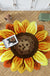 Feblilac Sunflower Area Mat