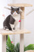 Cat Climber Cat House