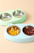 Dog Bowls Double Dog Water And Food Bowls Stainless Steel Bowls With Non-Slip Resin Station, Pet Feeder Bowls For Puppy Medium Dogs Cats