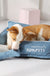 Dog Cat Bed Four Seasons Universal Sleeping Pad For Pets Pet Supplies