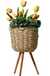 Floor - standing flowerpot straw furniture