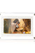 Acrylic Digital Photo Video Frame Battery New