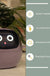 Facial Expression Control Intelligent Flower Pot