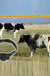 Cattle, Sheep And Horse Animal Husbandry GPS Locator Wireless Anti-theft Collar