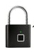 Fingerprint lock